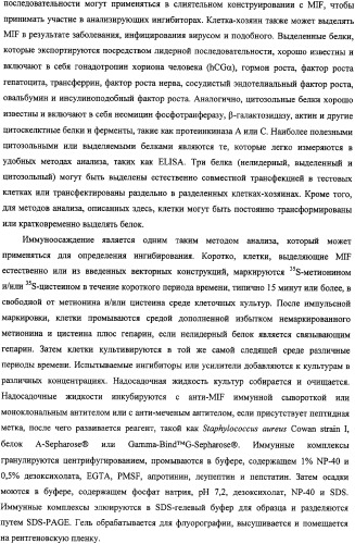 Ингибиторы фактора ингибирования миграции макрофага и способы для их идентификации (патент 2327695)
