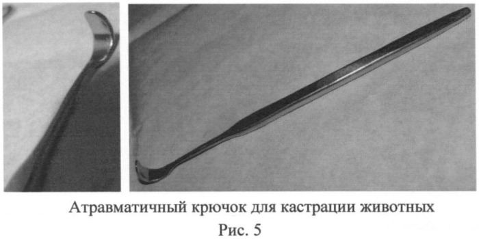 Способ овариогистерэктомии кошек по боковому доступу (патент 2396923)