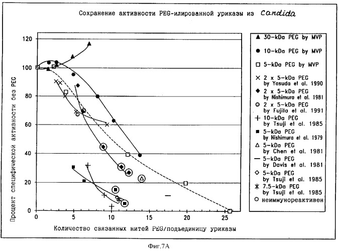 Свободная от агрегатов уратоксидаза для приготовления неиммуногенных полимерных конъюгатов (патент 2352354)