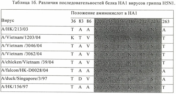 Способы применения модифицированного вируса гриппа (патент 2480480)