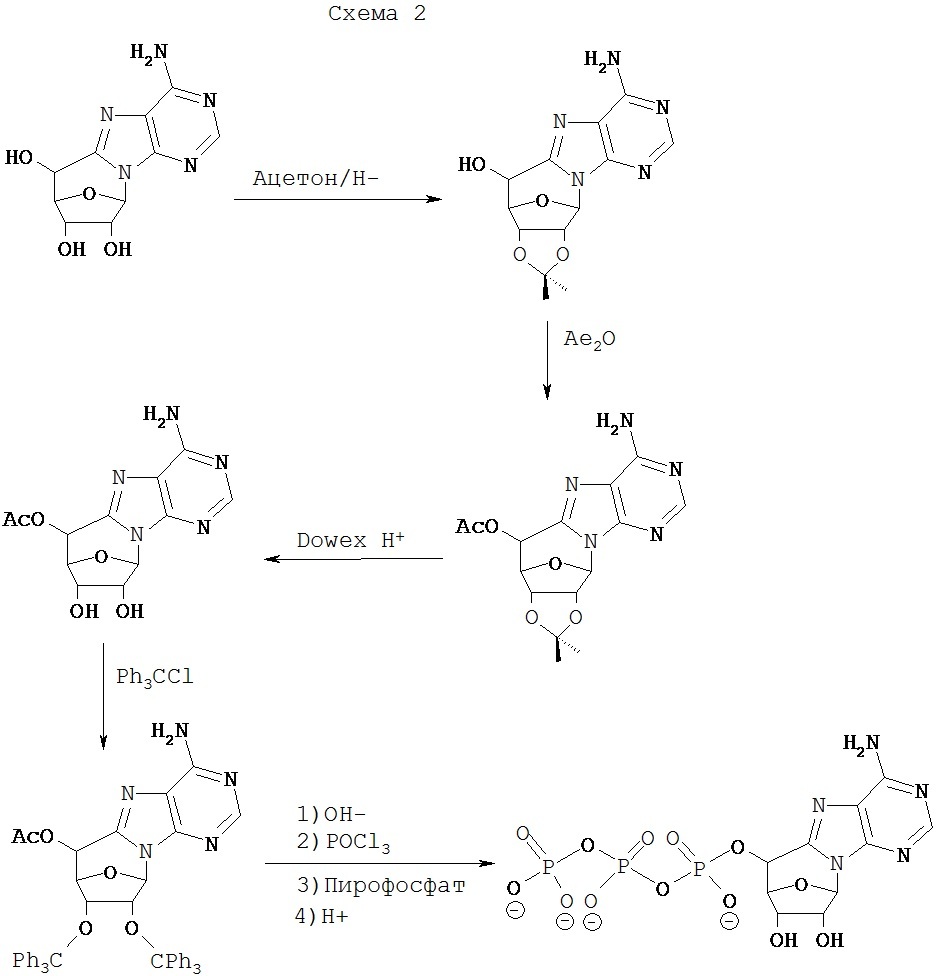 Синтез нуклеиновых кислот начинается с 5 конца. Ацетон схема. Лабораторный Синтез нуклеотидов схема. Модифицированные нуклеотиды. Лекарственные средства модифицированных нуклеиновых оснований.