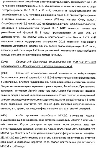 Антитела против интерлейкина-13 человека и их применение (патент 2427589)