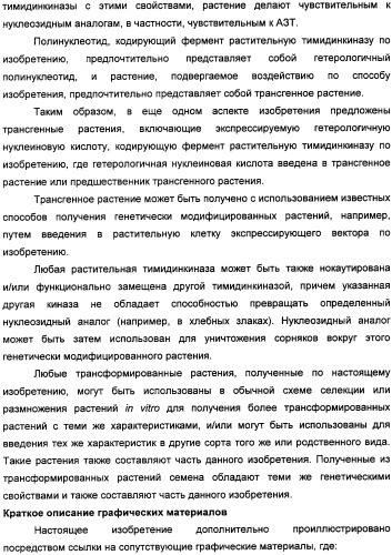 Растительные тимидинкиназы и их применение (патент 2339695)