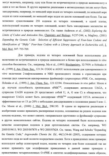 Система экспрессии компонентов ортогональной трансляции в эубактериальной клетке-хозяине (патент 2467069)