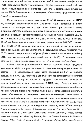 Иммунологические анализы активности ботулинического токсина серотипа а (патент 2491293)