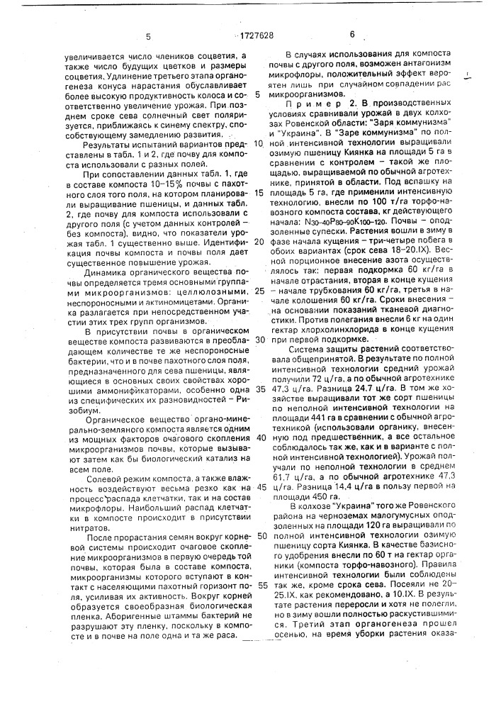 Способ выращивания озимой пшеницы (патент 1727628)