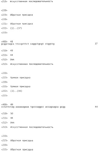 Модифицированные витамин к-зависимые полипептиды (патент 2396347)