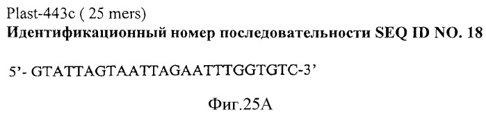 Иммуногенный эпитоп вируса гриппа (патент 2546872)