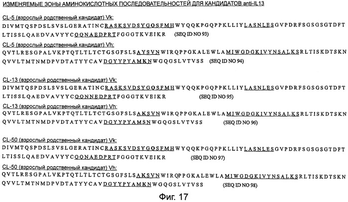 Новые анти-il 13 антитела и их использование (патент 2487887)