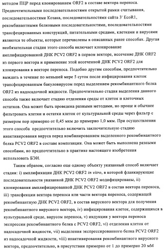 Поливалентные иммуногенные композиции pcv2 и способы получения таких композиций (патент 2488407)