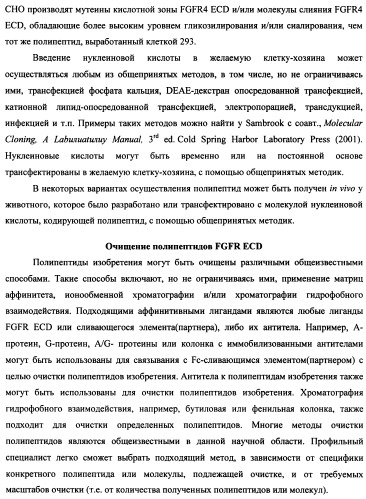 Мутеины кислотной зоны внеклеточного домена рецептора фактора роста фибробластов (патент 2509774)