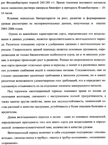 Способ возделывания яровой пшеницы предпочтительно в зоне светло-каштановых почв нижнего поволжья (варианты) (патент 2348137)