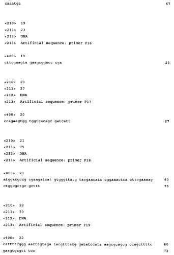 Способ получения l-аминокислот с использованием бактерии семейства enterobacteriaceae (патент 2364628)