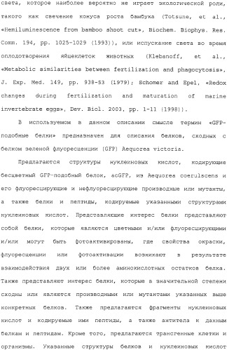 Новые флуоресцирующие белки aequorea coerulscens и способы их применения (патент 2330886)