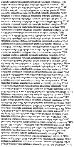Модуляция экспрессии гентингтина (патент 2562861)