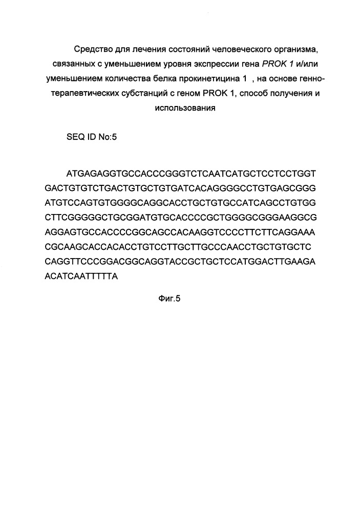 Средство для лечения состояний человеческого организма, связанных с уменьшением уровня экспрессии гена prok 1 и/или уменьшением количества белка прокинетицина 1 на основе генно-терапевтических субстанций с геном prok 1, способ получения и использования (патент 2662944)