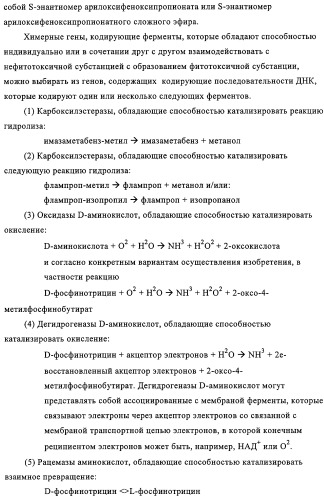 Способ избирательного получения растений с мужской или женской стерильностью (патент 2320722)