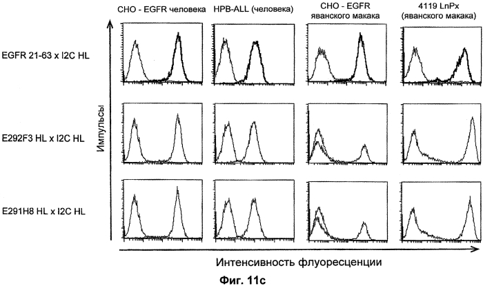 Cd3-эпсилон-связывающий домен с межвидовой специфичностью (патент 2561457)