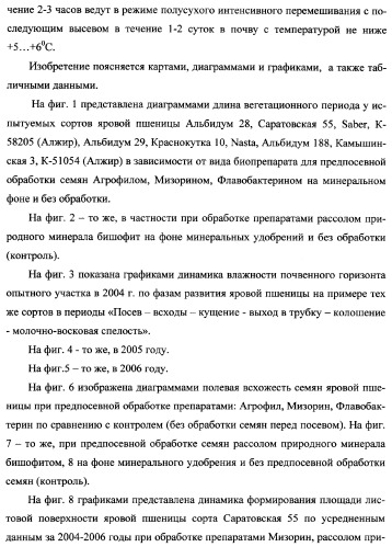 Способ возделывания яровой пшеницы предпочтительно в зоне светло-каштановых почв нижнего поволжья (варианты) (патент 2348137)