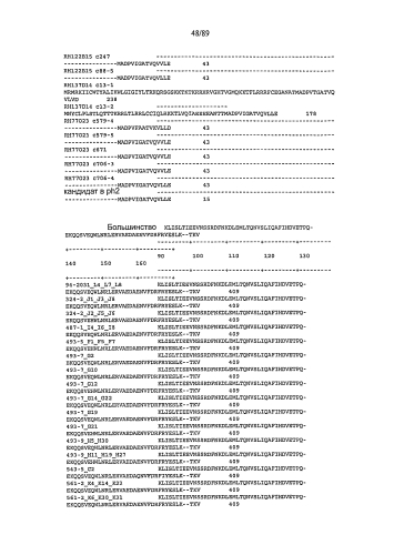 Клонирование и использование функционального r-гена из solanum chacoense (патент 2586509)