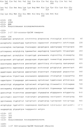 Pscaxcd3, cd19xcd3, c-metxcd3, эндосиалинxcd3, epcamxcd3, igf-1rxcd3 или fap-альфаxcd3 биспецифическое одноцепочечное антитело с межвидовой специфичностью (патент 2547600)