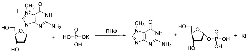 Гидройодная соль 7-метил-2'-дезоксигуанозина в качестве субстрата для получения 2'-дезоксинуклеозидов методом ферментативного трансгликозилирования (патент 2664472)