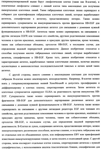 Белки, связывающие антиген фактор роста, подобный гепаринсвязывающему эпидермальному фактору роста (патент 2504551)