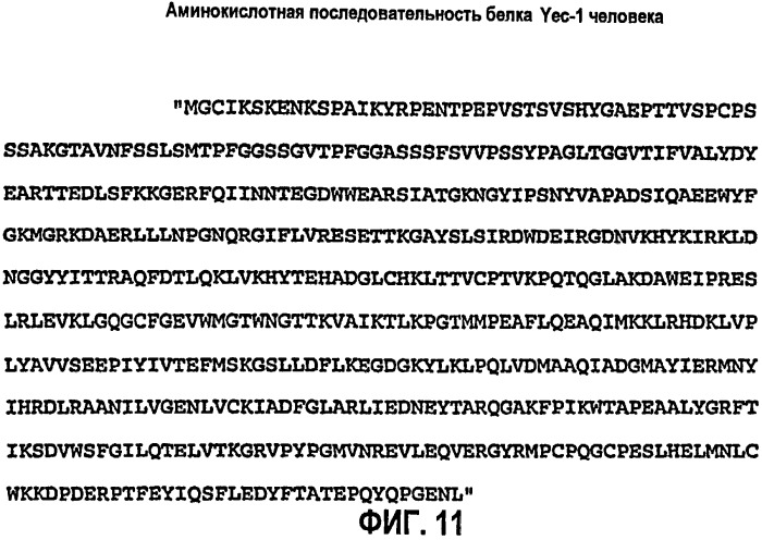 Модуляторы ангиогенеза и проницаемости сосудов (патент 2271216)