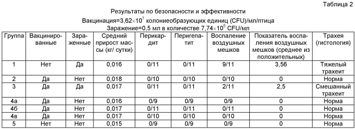 Живая аттенуированная бактерия mycoplasma, вакцина содержащая ее и способ идентификации такой бактерии (патент 2473682)