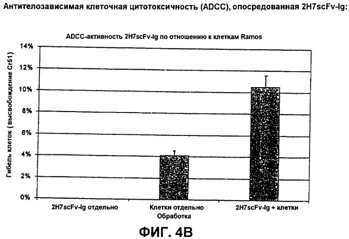 Слитые белки связывающий домен-иммуноглобулин (патент 2420537)