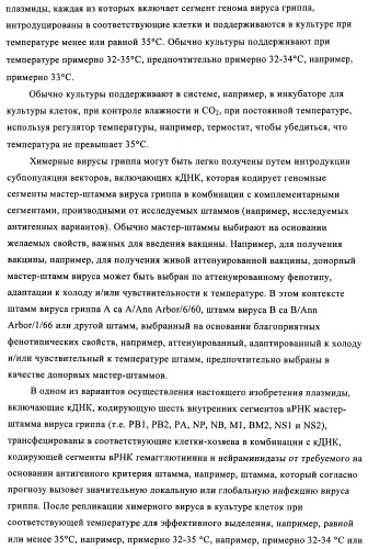 Способы и композиции для экспрессии антисмысловой вирусной рнк в клетках собаки (патент 2457250)