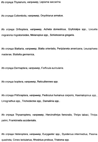 Замещенные тиазолилом карбоциклические 1,3-дионы в качестве средств для борьбы с вредителями (патент 2306310)