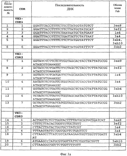 Анти-mn антитела и способы их применения (патент 2427590)
