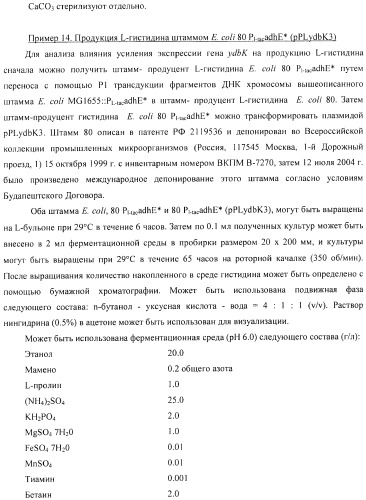 Способ получения l-аминокислоты с использованием бактерии, принадлежащей к роду escherichia (патент 2395579)