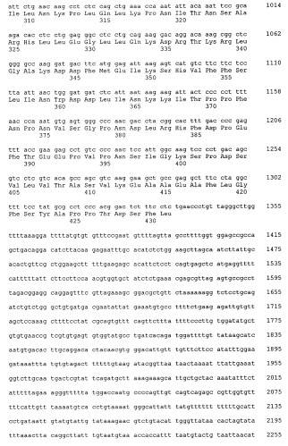 Количественный диагностический анализ гипертензии (патент 2287160)