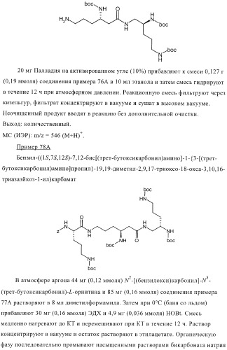 Бактерицидные содержащие амидные группы макроциклы v (патент 2409588)