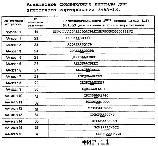 Агонистические антитела против notch3 и их применение для лечения notch3-ассоциированных заболеваний (патент 2461569)