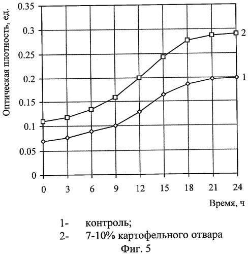 Способ получения симбиотического бактериального концентрата для производства продуктов гетероферментативного брожения (патент 2287939)