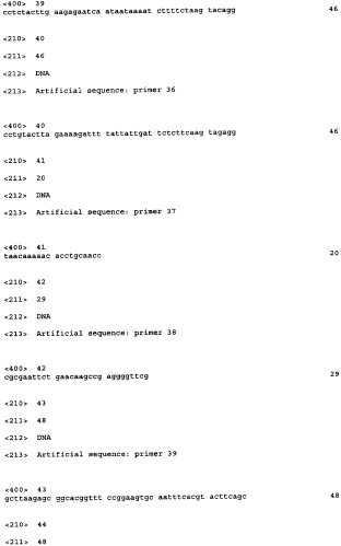 Мутантная фосфорибозилпирофосфатсинтетаза, днк, кодирующая ее, бактерия, содержащая указанную днк, способ продукции пуриновых нуклеозидов и cпособ продукции пуриновых нуклеотидов (патент 2403286)