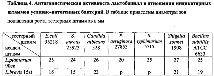 Штаммы lactobacillus plantarum и lactobacillus brevis, синтезирующие гамма-аминомасляную кислоту (патент 2575625)