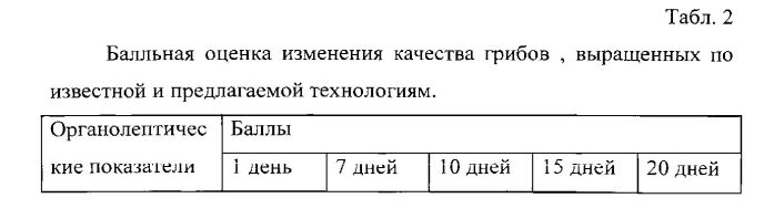 Способ выращивания шампиньонов (патент 2555145)