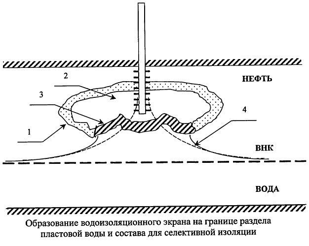 Способ изоляции притока пластовых вод в нефтяные и газовые скважины (патент 2247224)