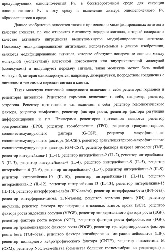 Агонистическое соединение, способное специфически узнавать и поперечно сшивать молекулу клеточной поверхности или внутриклеточную молекулу (патент 2430927)