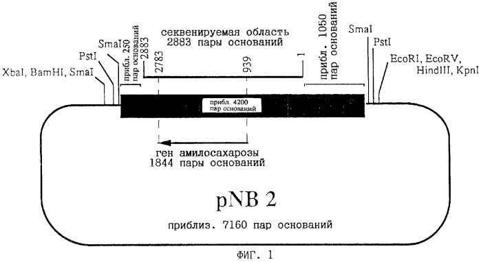 Линейные альфа-1,4-глюканы и способ их получения (патент 2272842)