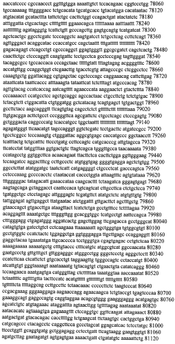 Модуляция экспрессии гентингтина (патент 2562861)