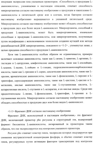 Способ получения l-аминокислоты (патент 2405040)