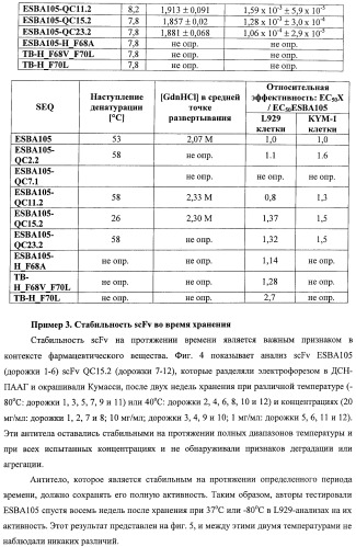 Scfv-антитела, которые проходят через эпителиальный и/или эндотелиальный слои (патент 2438708)