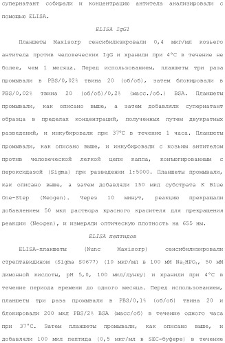 Антитела против вируса гепатита с (патент 2462475)