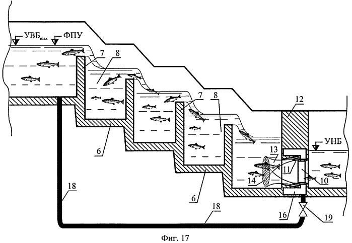 Способ пропуска рыб через рыбоход из нижнего бьефа гидроузла в верхний бьеф (варианты) (патент 2377365)