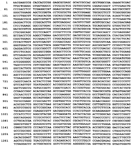 Варианты сериновой протеазы с множественными мутациями (патент 2558261)